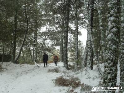 Valle de Iruelas - Pozo de nieve - Cerro de la Encinilla;senderismo en cordoba club senderista murci